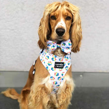 Load image into Gallery viewer, cocker spaniel dog wearing a rainbow paw print dog harness
