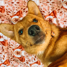 Load image into Gallery viewer, rescue dog lay on a fox print plush blanket

