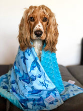 Load image into Gallery viewer, cocker spaniel dog wrapped in a moana ocean print plush blanket

