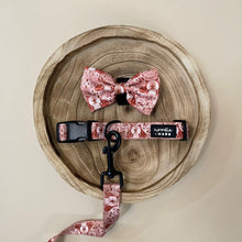 Load image into Gallery viewer, fox print dog collar dog bow tie dog lead leash
