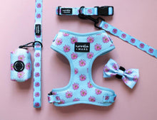 Load image into Gallery viewer, flower print dog harness, dog collar, dog lead set
