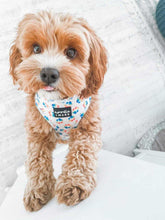 Load image into Gallery viewer, cavapoo dog wearing a rainbow paw print dog harness
