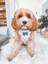 Load image into Gallery viewer, cavapoo dog wearing a rainbow paw print dog harness
