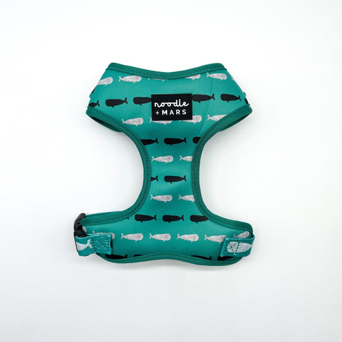 whale dog harness