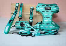Load image into Gallery viewer, whale print dog harness, dog leash, dog collar and dog bow tie
